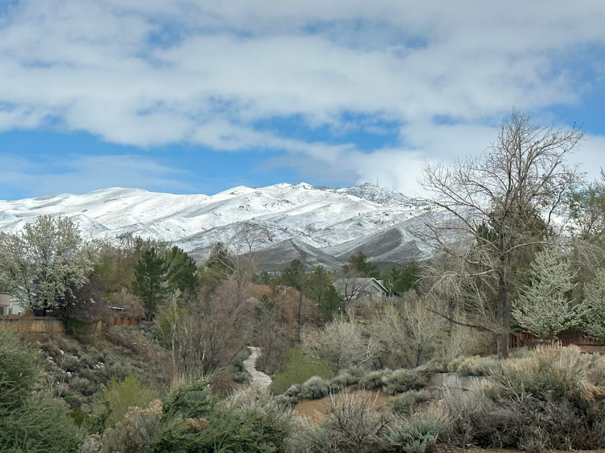 Time to Get Your Garden Ready – Tips for Planting in Lake&nbsp;Tahoe